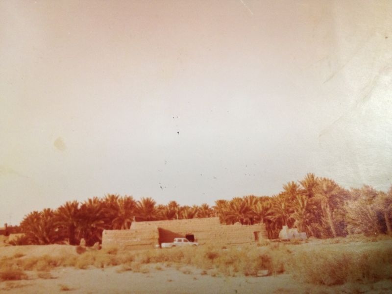 مزرعة السيفية
